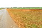 Circular field, Horquitas, Cienfuego, Cuba