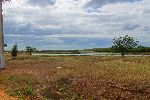 Catfish fish farm, Yaguaramas, Cienfuego, Cuba