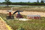 Catfish fish farm, Yaguaramas, Cienfuego, Cuba