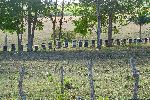 Beehive, el Valle de los Ingenios, Cuba