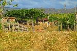 Bohio, el Valle de los Ingenios, Trinidad, Cuba