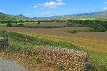 el Valle de los Ingenios, Trinidad, Cuba
