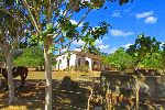 Bohio, Horseback ride, Trinidad, Cuba