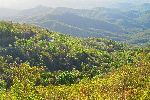 View from road to Topes de Collantes, Trinidad, Cuba