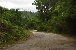 Road, Topes de Collantes, Cuba