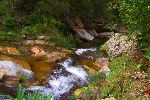 Mountain stream, Cuba