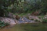 Mountain stream, Cuba