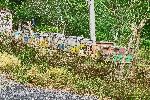 Beehives, Topes de Collantes, Cuba