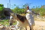 a man dressed in white, with a large white bag stuffed with hay, rode by on a mostly white horse