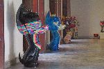 Art Gallery, Old Havana
