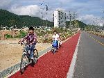 Kids on a recreational bicycle ride, Jinbu, South Korea