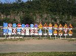 Traffic signs, safety awareness course, Jinju, South Korea