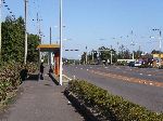 Bike lane with bus shelter, highway 12, Jeju Island, South Korea