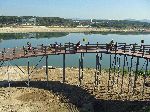 bicycle bridge, Yeoju, South Korea