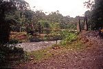 Ecuador, Palora, road and bridge