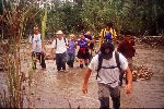 Ecuador, Pastaza, flooded trail to Otto