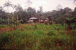 Ecuador, Palora, farm house and cleared land