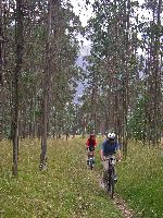 Ecuador, Quito: Parque Metropalitano, bicycling