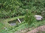 Fish farming 