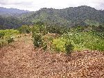 Uplands area of the Rio Guayllabamba valley