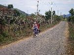 stone road