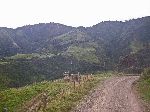 high county south of Mt Cotacachi.