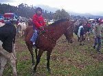 Otavalo animal market; boy riding horse