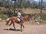 boy riding horse