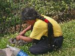 preparing some local herbs