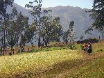 bicycling through farmland, Ecuador