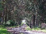 entrance to Hacienda Zuleta