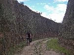 Cayambe rail tral