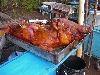 Otavalo; roasted pig