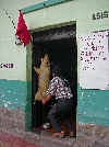 Otavalo; pig being prepared in the doorway of a restaurant