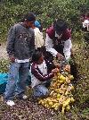 Inty Raymi Cuicochi