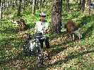 Ecuador, Quito: Parque Metropalitano, bicycling with llamas