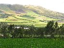 Ecuador, Chaupi, countryside / farmland