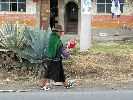 Ecuador, Salasaca: Woman spinning wool yarn