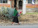 Ecuador, Salasaca: Woman spinning wool yarn