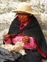 Ecuador, Salasaca: Woman cleaning wool