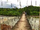 Ecuador, Canelos, foot bridge across Rio Bobonaza