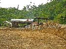 Ecuador, Patazas, La Esperanza, sugar cane mill