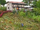 Ecuador, Patazas, La Esperanza, house