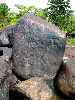 Petroglyphs, Guyana, South America
