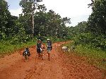 Bartica-Potaro road, Guyana
