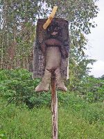 human-like figure, Guyana