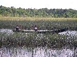 student paddle canoe to school, Wakapoa, Guyana