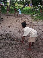 children playing cricket, Guyana