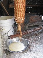 Squeezing casava in a matapi in preparation for making casava bread. The liquid is used to make casreep.