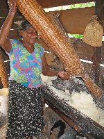 dumping cassava cake from matapi, for making cassava bread